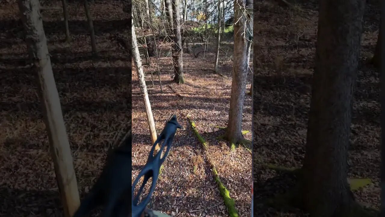 Deer hunting #deerhunting #bowhunting #archery #farmlife #beard #bearded