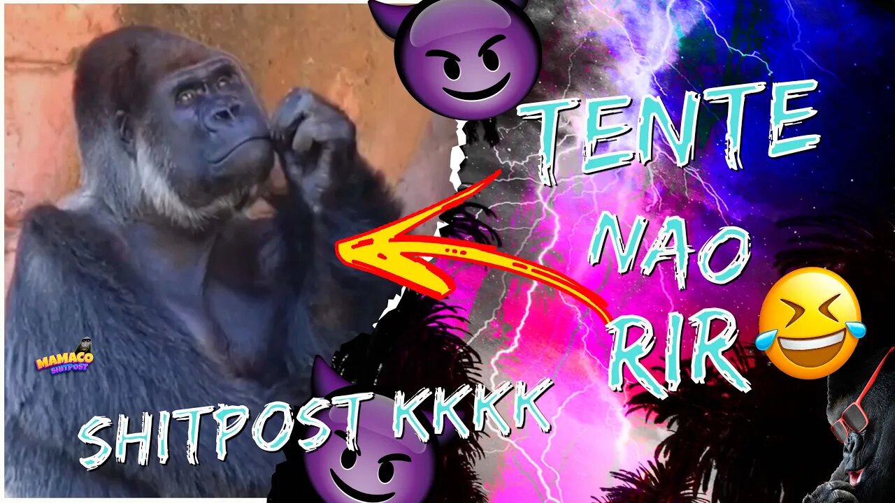 SHITPOST COMPILADO OS MELHORES - TENTE NÃO RIR 🥺 #10