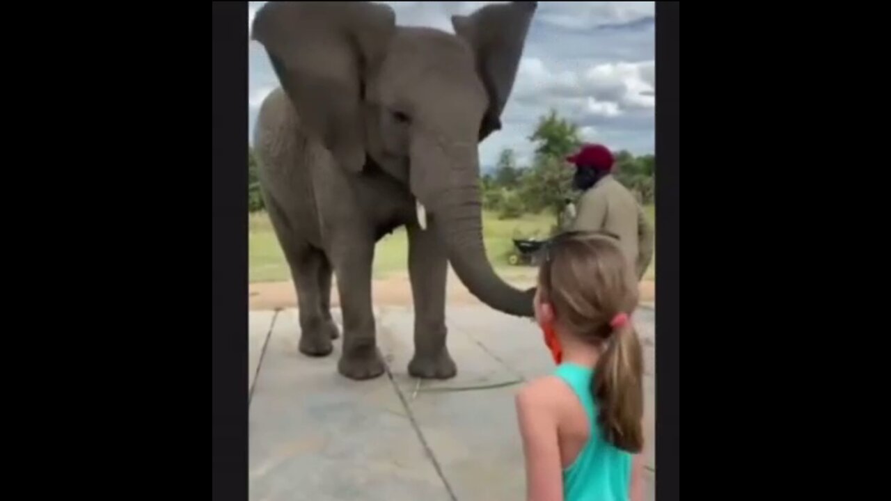 TOP Viral Funny Animals 🐶😹 Videos Compilation 2022 Try Not To Laugh.