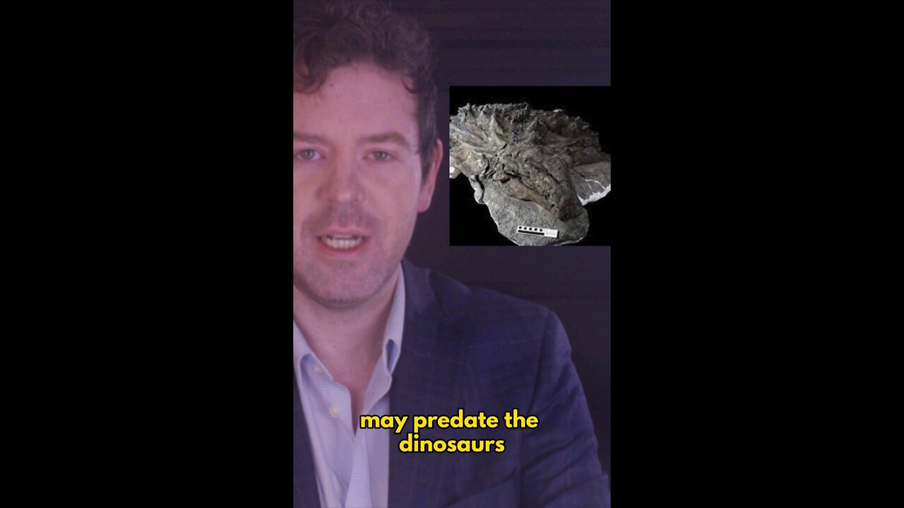 New skin fossil may be older than dinosaurs