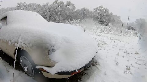 alfa snow