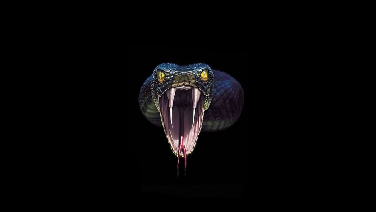 Killing the snake😼