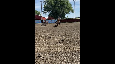 WTRC short go