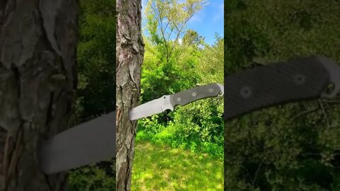 Testing out the Combative Edge Salus!