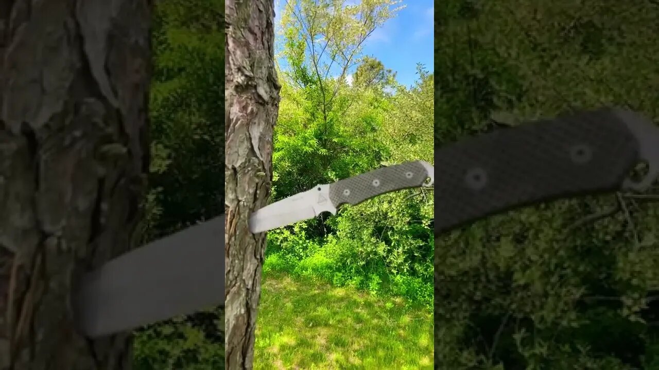 Testing out the Combative Edge Salus!