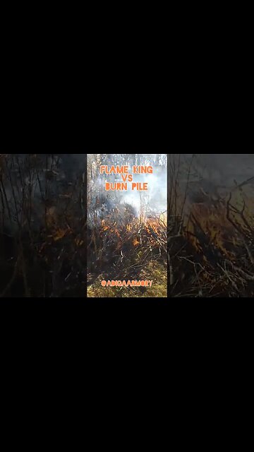 Flame King propane torch versus big burn pile.