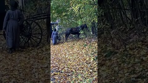 Amish at the Chiropractor. They rode pretty far in their buggy.