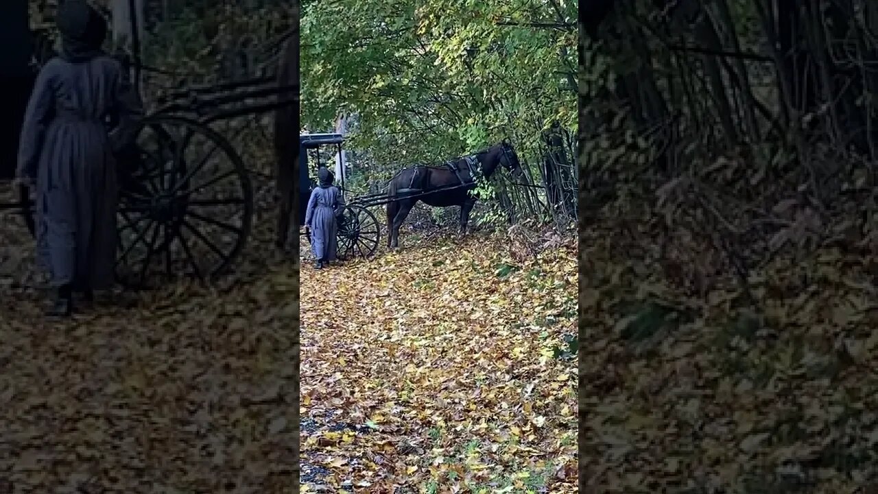 Amish at the Chiropractor. They rode pretty far in their buggy.