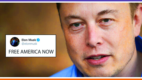 Elon Musk Outs Media Matters