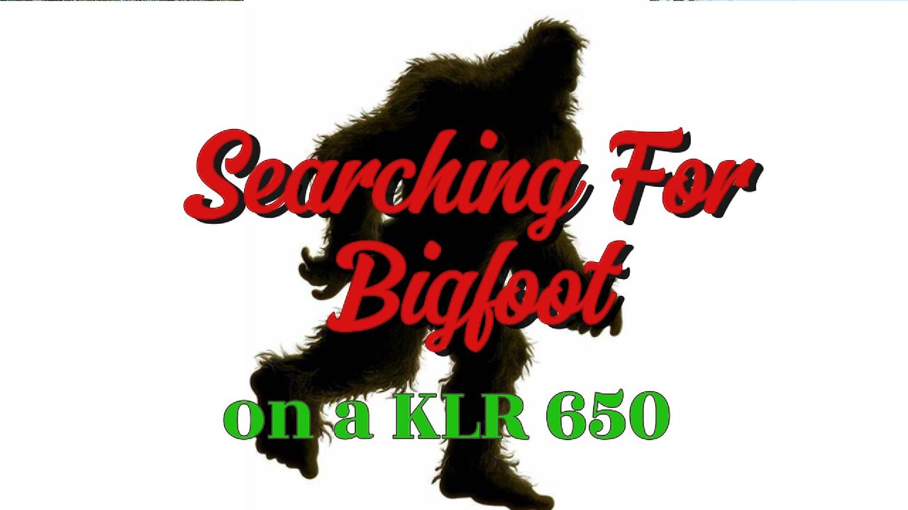 Looking For Bigfoot