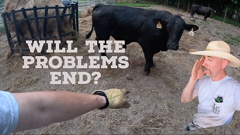 Can we have one day without any new problems, please?!?!