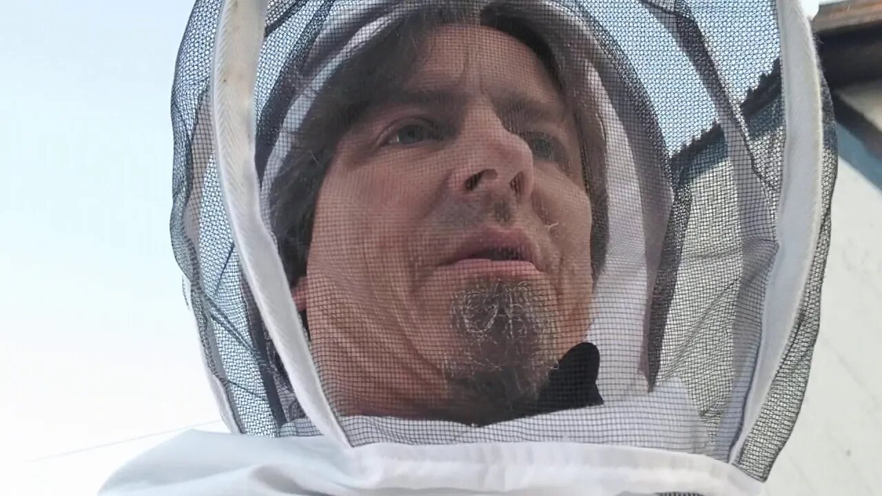 Bee feed before the freeze