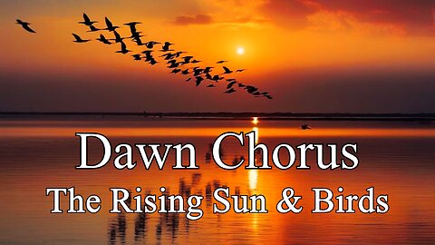 The Dawn Chorus: The Rising Sun & Birds