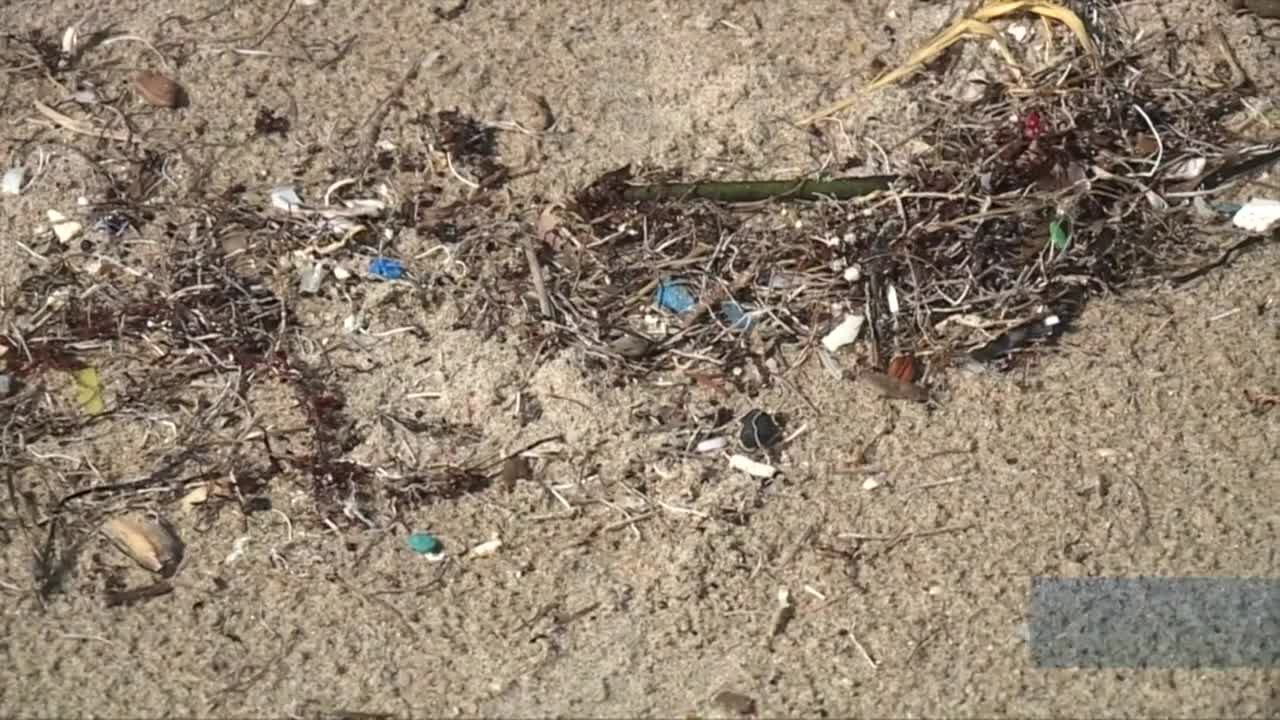 All hands on deck for a record-setting beach clean up