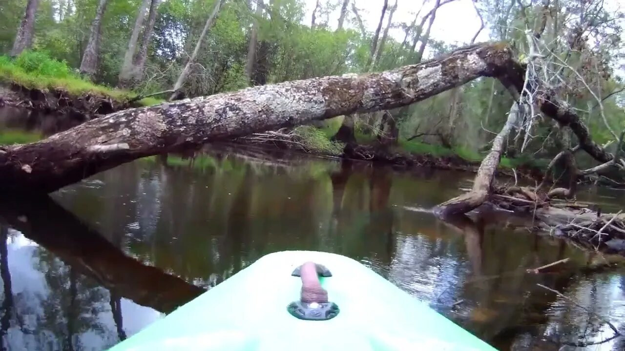 on my own, Paddling ahead of the pack, gives me time to spend with the Creator and his creation