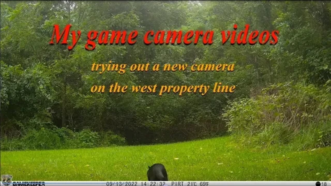 Trying out a different camera