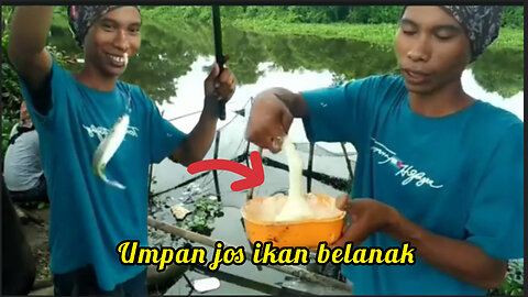 Mancing ikan belanak di sungai