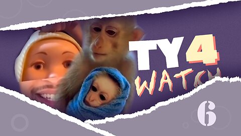 TY4WATCH | FUNNY MOMENTS AND ANIMALS | 2023 | (6)