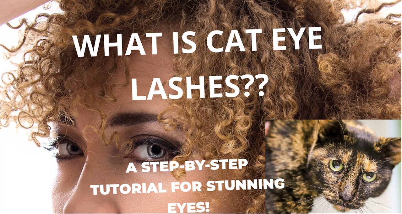 Cat Eye Lashes: A Step-by-Step Tutorial for Stunning Eyes by finance guruji #cat #eyelashes #shorts