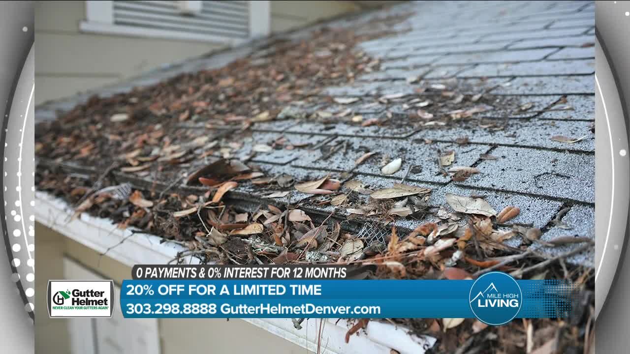 20% Off Effortless Gutters // Gutter Helmet