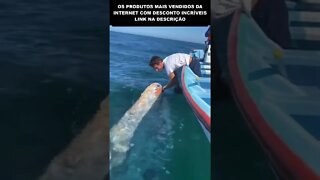 FAZENDO CARINHO NA BALEIA
