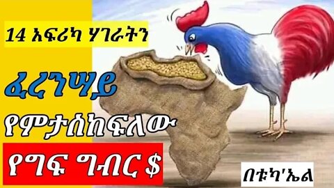 አኹን እየተፈፀመ ያለ | እጅግ አስነዋሪ ግፍ |AFRICA ላይ ይህን ግፍ ካልፈፀመች FRANCE ያበቃላታል | part-2 final