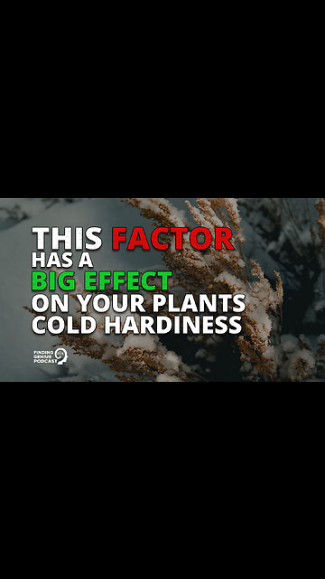 This Factor Has a Big Effect on Your Plants Cold Hardiness