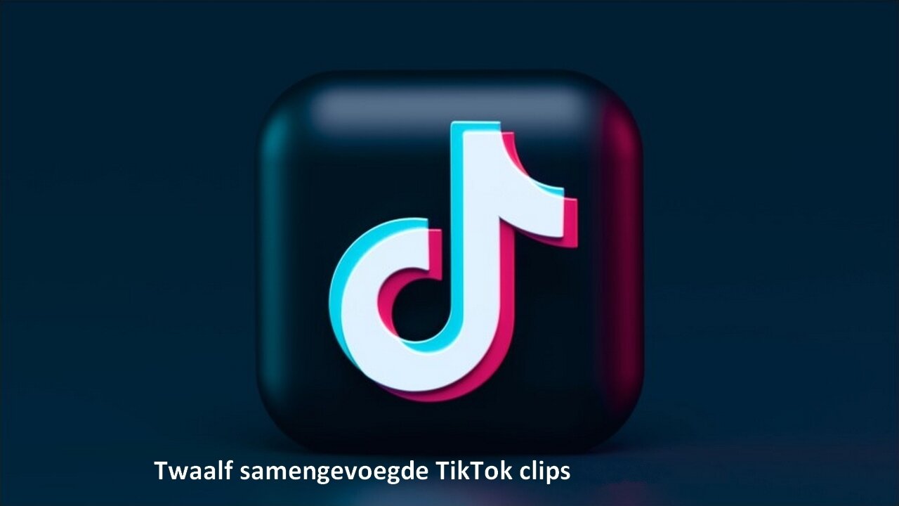 Twaalf samengevoegde TikTok clips.