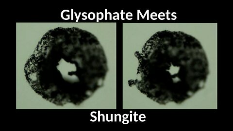 SHUNGITE REALITY 4-2-24 CLIP - Glyphosate Meets Shungiite Video