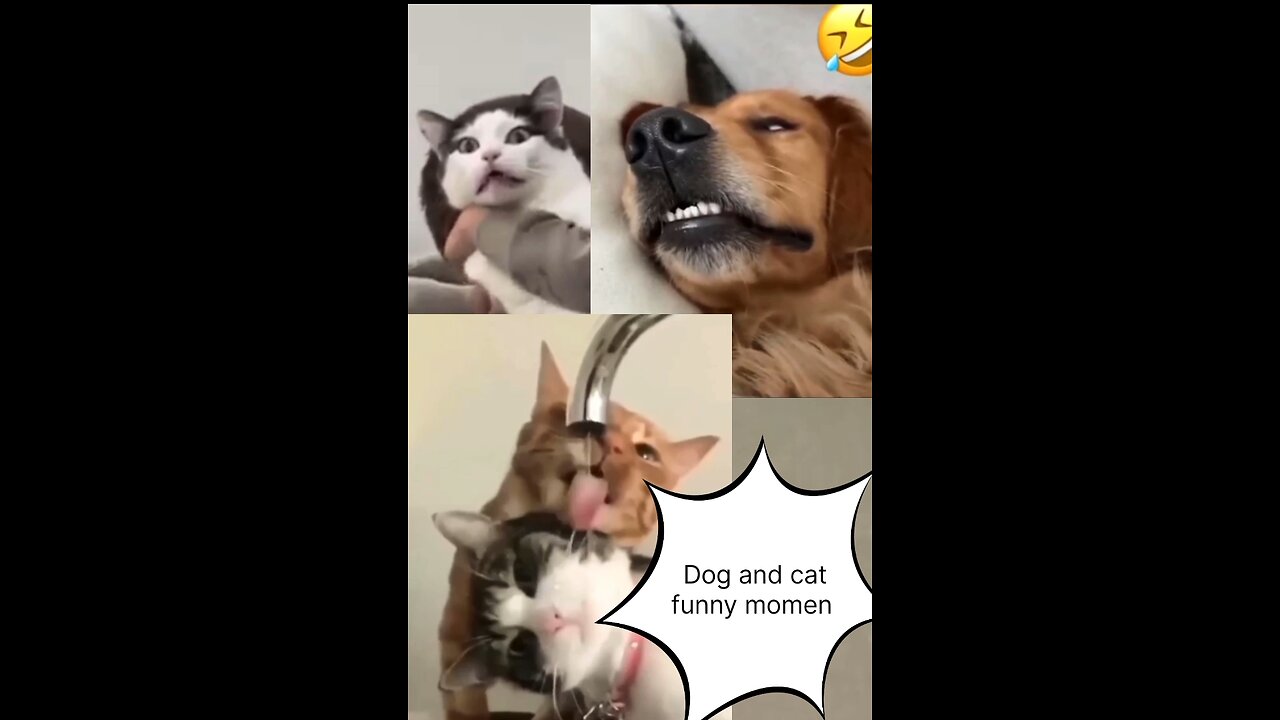 Funny dog mime#and funny video #Thanks for watching