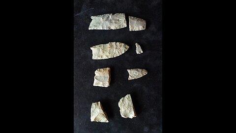 13,000 Y.O. Clovis Site Discovered In Michigan