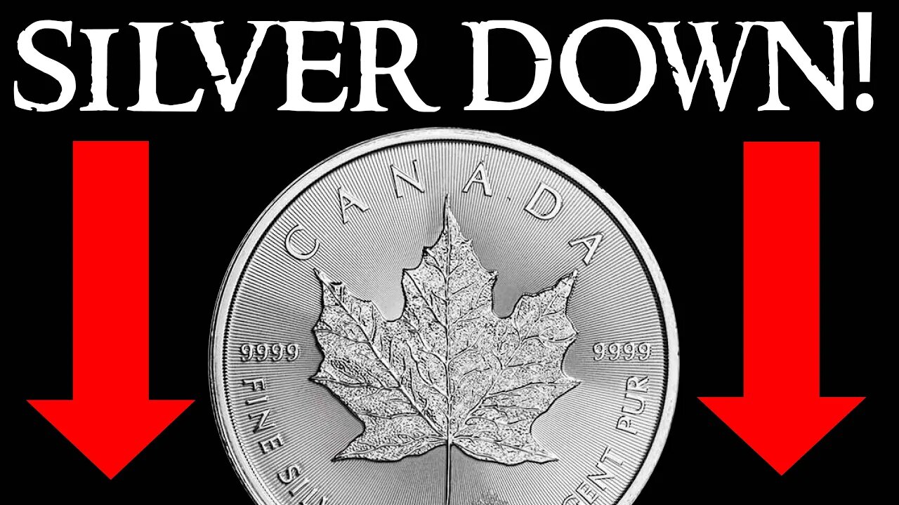 Why is Silver Price DOWN Today When Inflation is Raging?!?