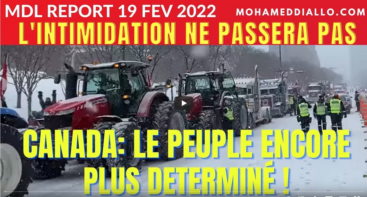 MDL REPORT 19 Fév 2022-LINTIMIDATION NE PASSERA PAS!TROUDUCUDO A COMMIS UNE GRAVE ERREUR!