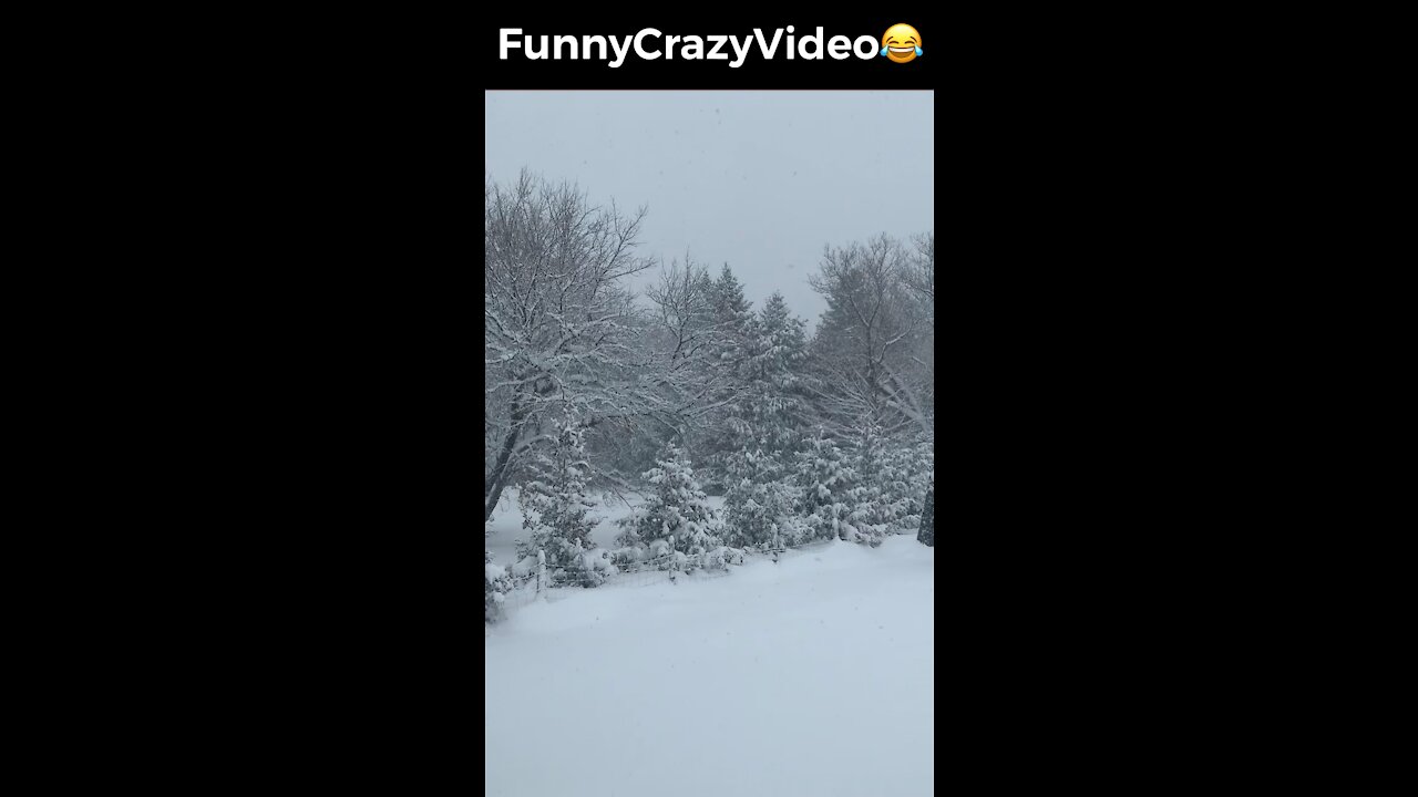 Mr FunnyCrazyVideo😂 Just Incredible Video Funny and Crazy #Like Follow for Follow 🥰