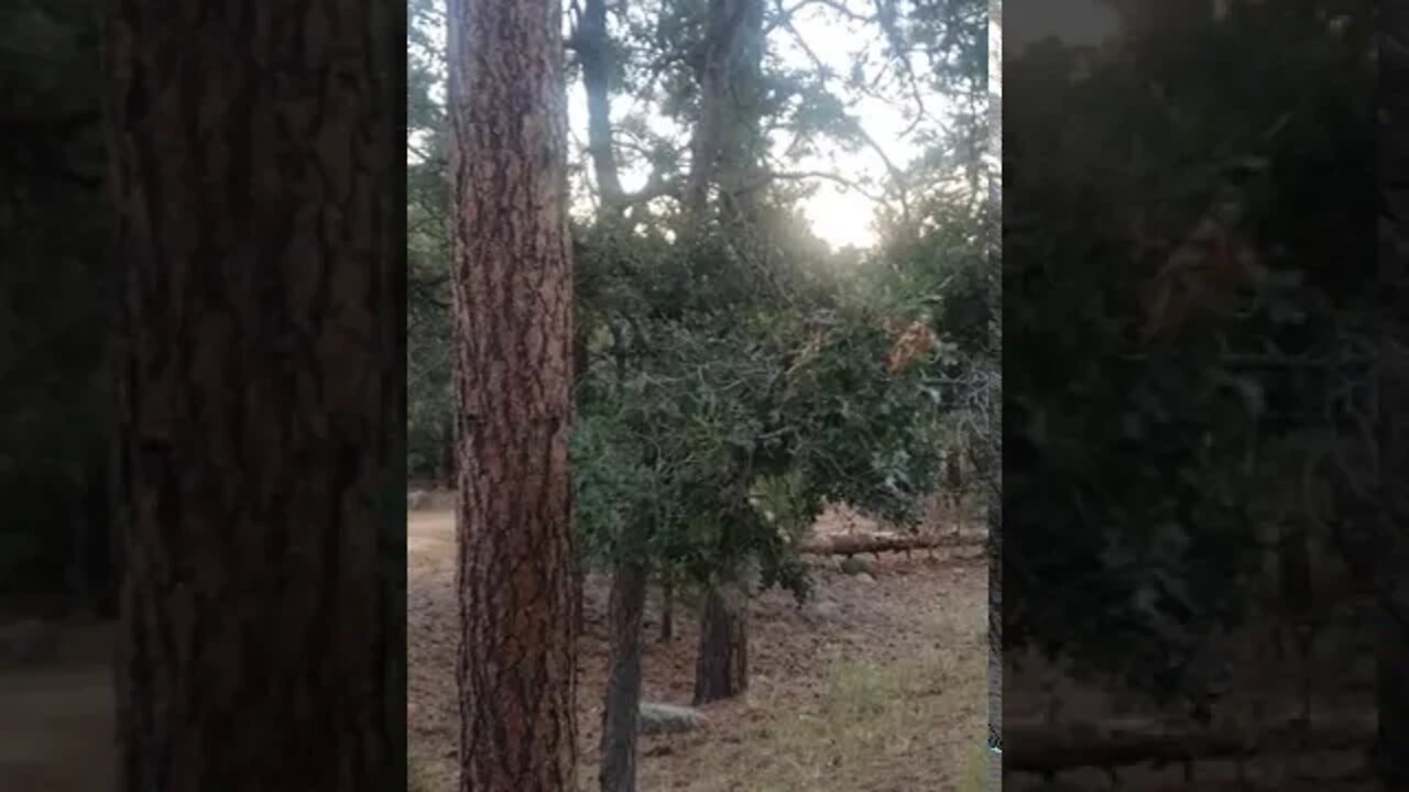 As in the days of Moses! Matthew 24:37-39 #RepentBelieveTrustObey