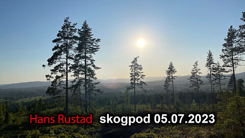 Skogpod 05. juli 2023