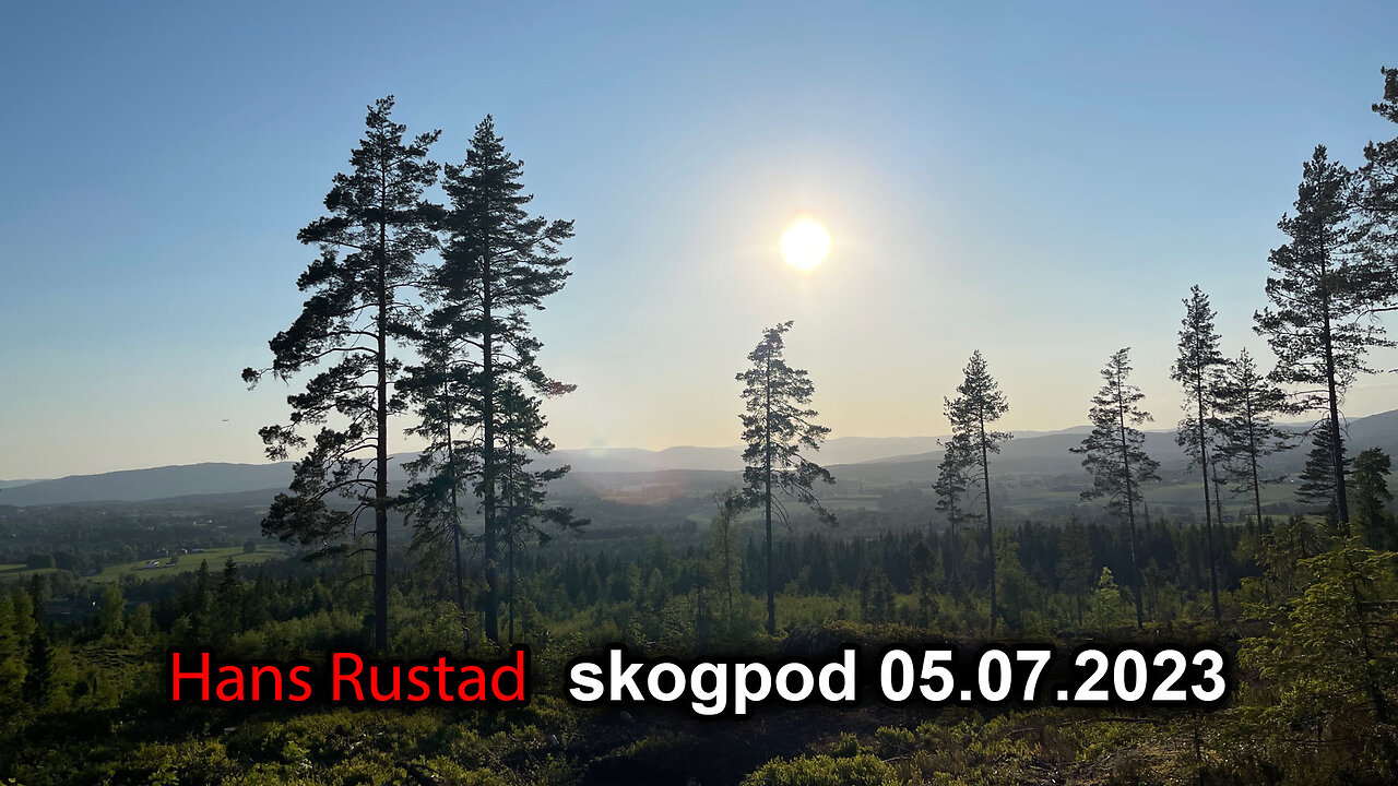 Skogpod 05. juli 2023