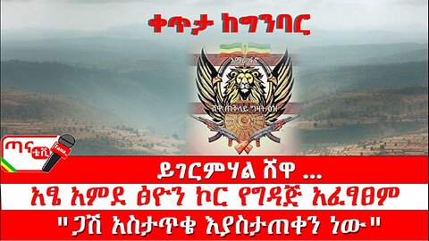 ጣና ልዩ መረጃ፦ ይገርምሃል ሸዋ … የአፄ አምደ ፅዮን ኮር የግዳጅ አፈፃፀም… "ጋሽ አስታጥቄ እያስታጠቀን ነው"