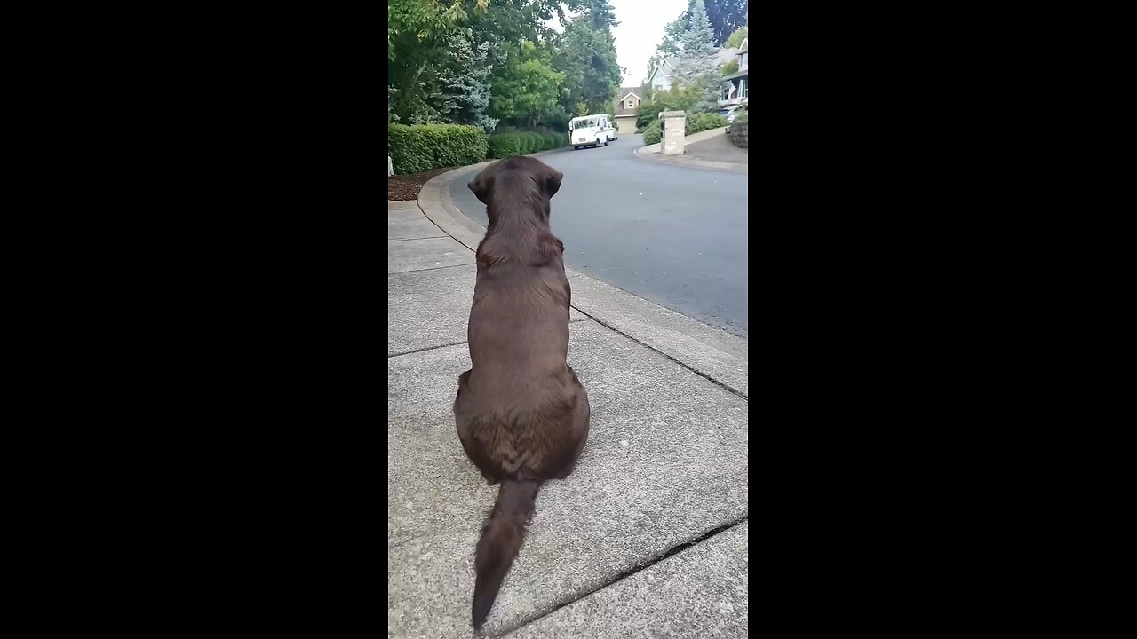 So cute