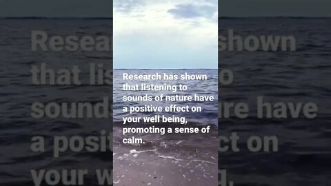 Nature sounds can reduce stress levels. #youtubeshorts #calm #soundsofnature #nature #waves