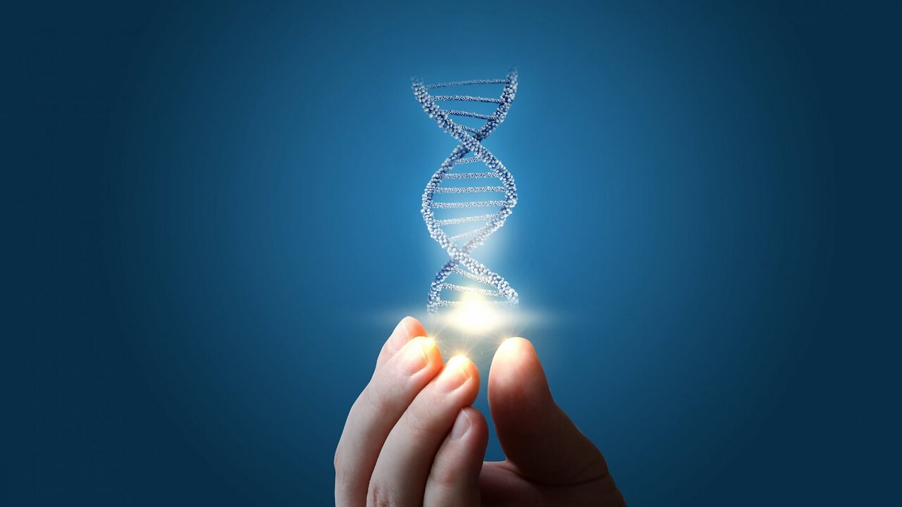 You have 14 generations of memories within your DNA