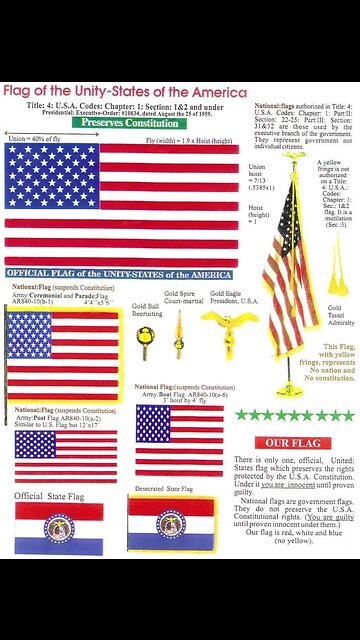 FLAG OF THE UNITY❤️🇺🇸STATES OF AMERICA🇺🇸🤍U.S.A💙🇺🇸⭐️