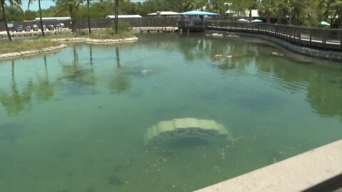 3D-printed concrete reef placed in Florida Oceanographic Society's Gamefish Lagoon