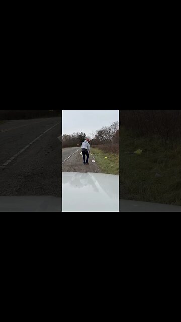 Pigs 🐷 #bubba #giantpumpkin #care #littering #cleaningtips