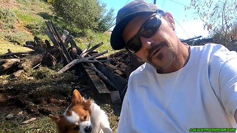 Just me and Lucy today