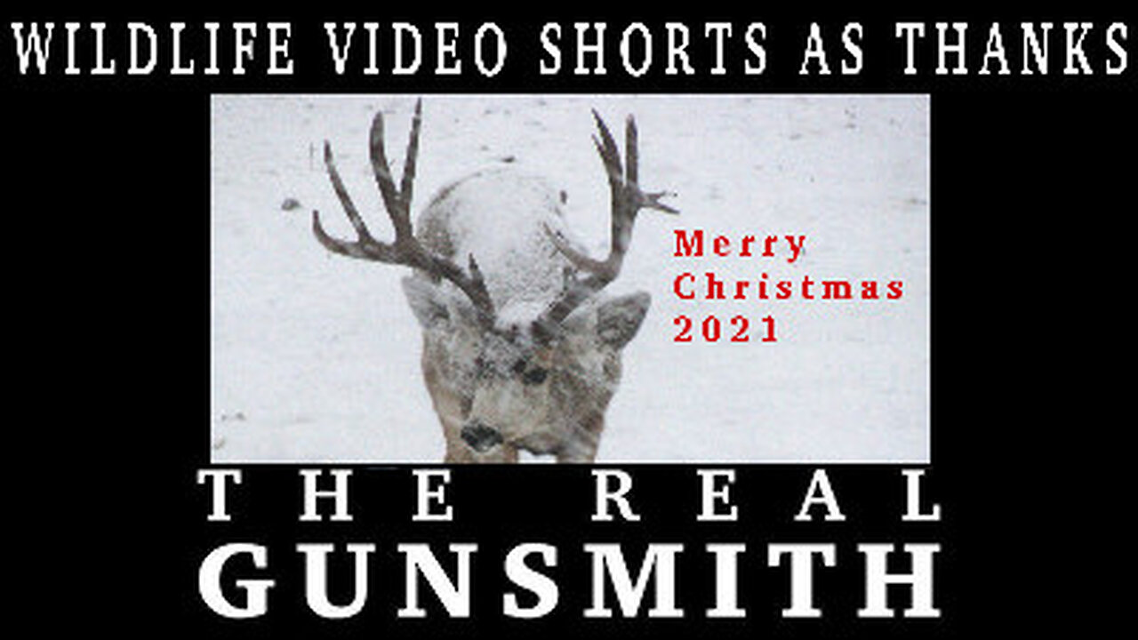 Merry Christmas 2021