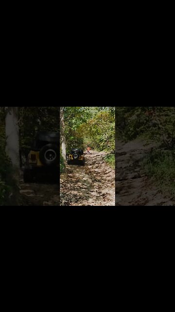 Trailhead to Cougars crossing #shorts #jeep #4x4 #jeepbadgeofhonor #jeepwrangler #offroad #trail