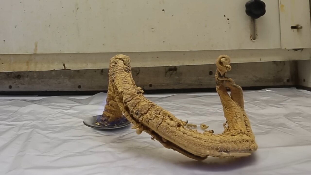 Making the Pharaoh's Serpent