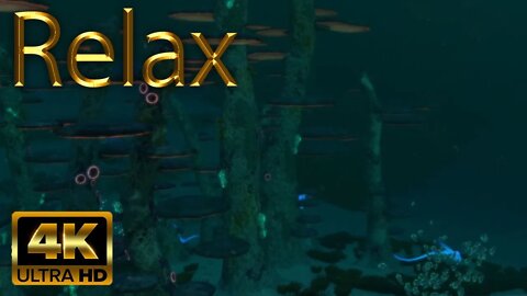 Calm Underwater Atmosphere from Subnautica