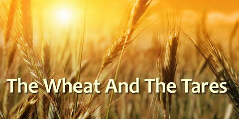 ~ Wheat & Tares: Shocking Truth ~